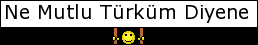 Turk